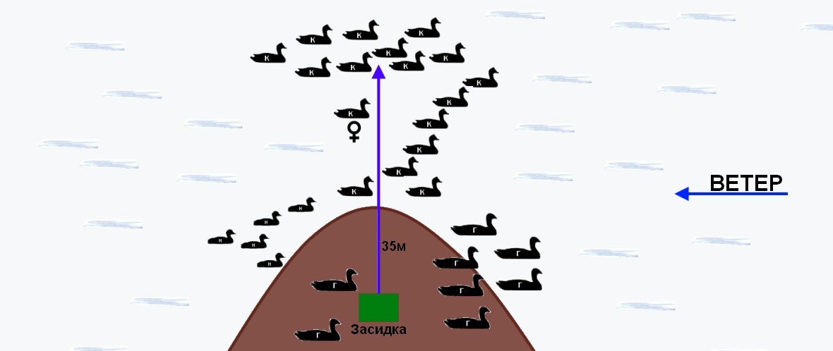 Схема расстановки чучел уток на охоте