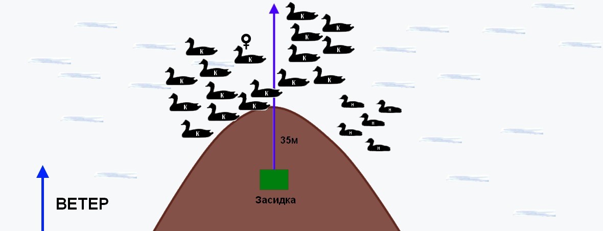 Расстановка гусей на поле чучел весной схема