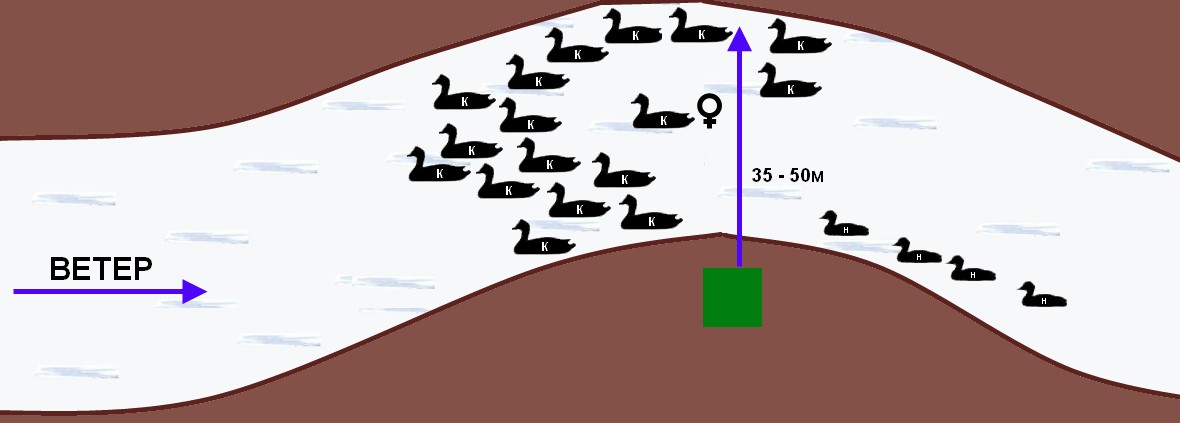 Расстановка чучел гусей весной на поле схема